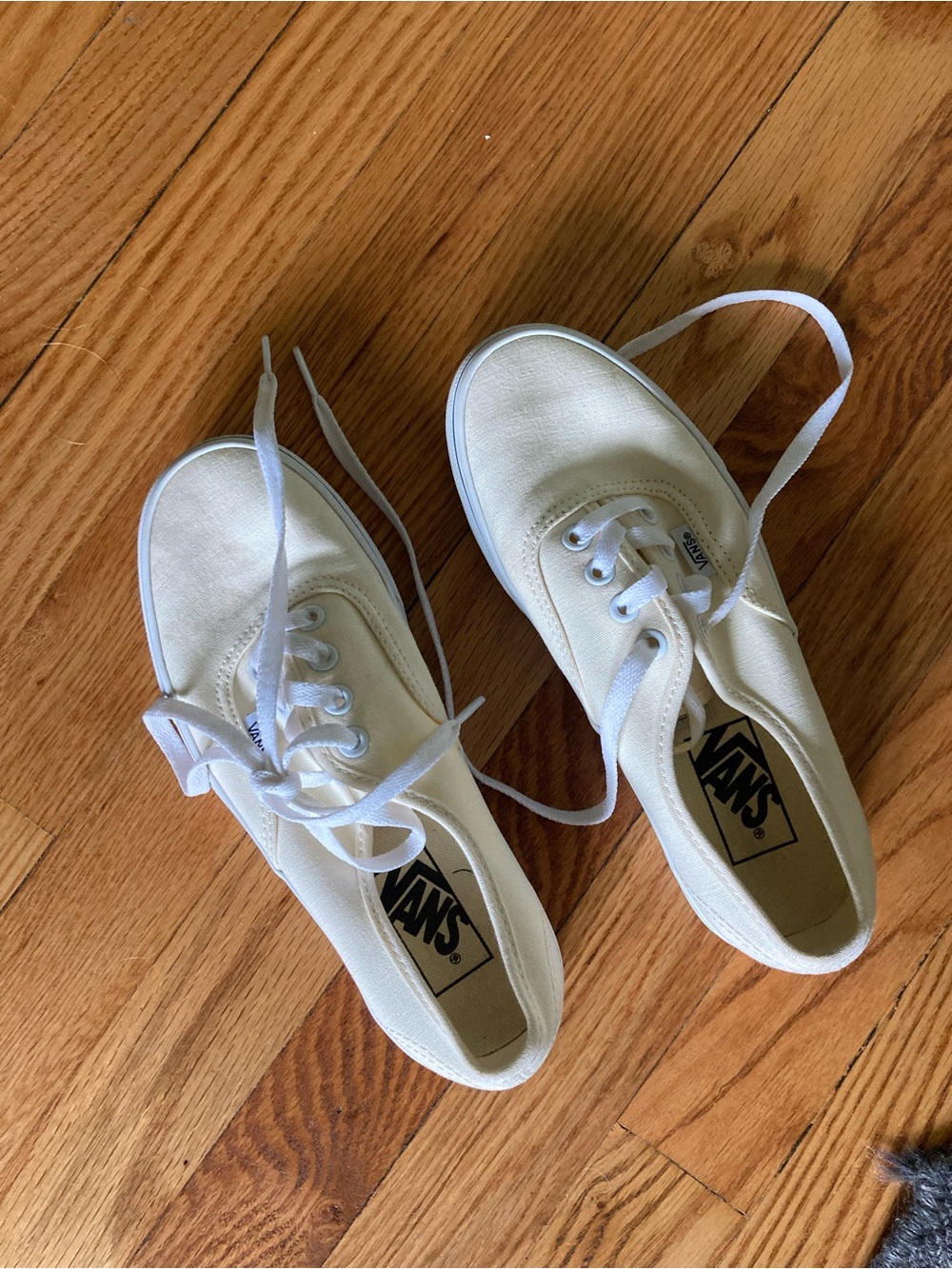 Vans Canvas Lace-Up Sneakers in Off-White/Cream